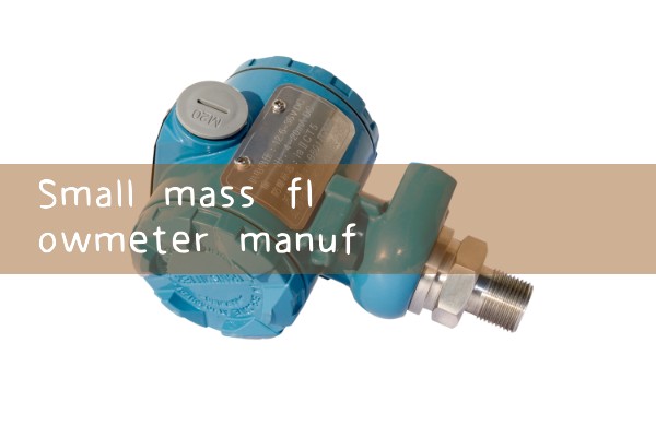 Manufacturer of small mass flow meters